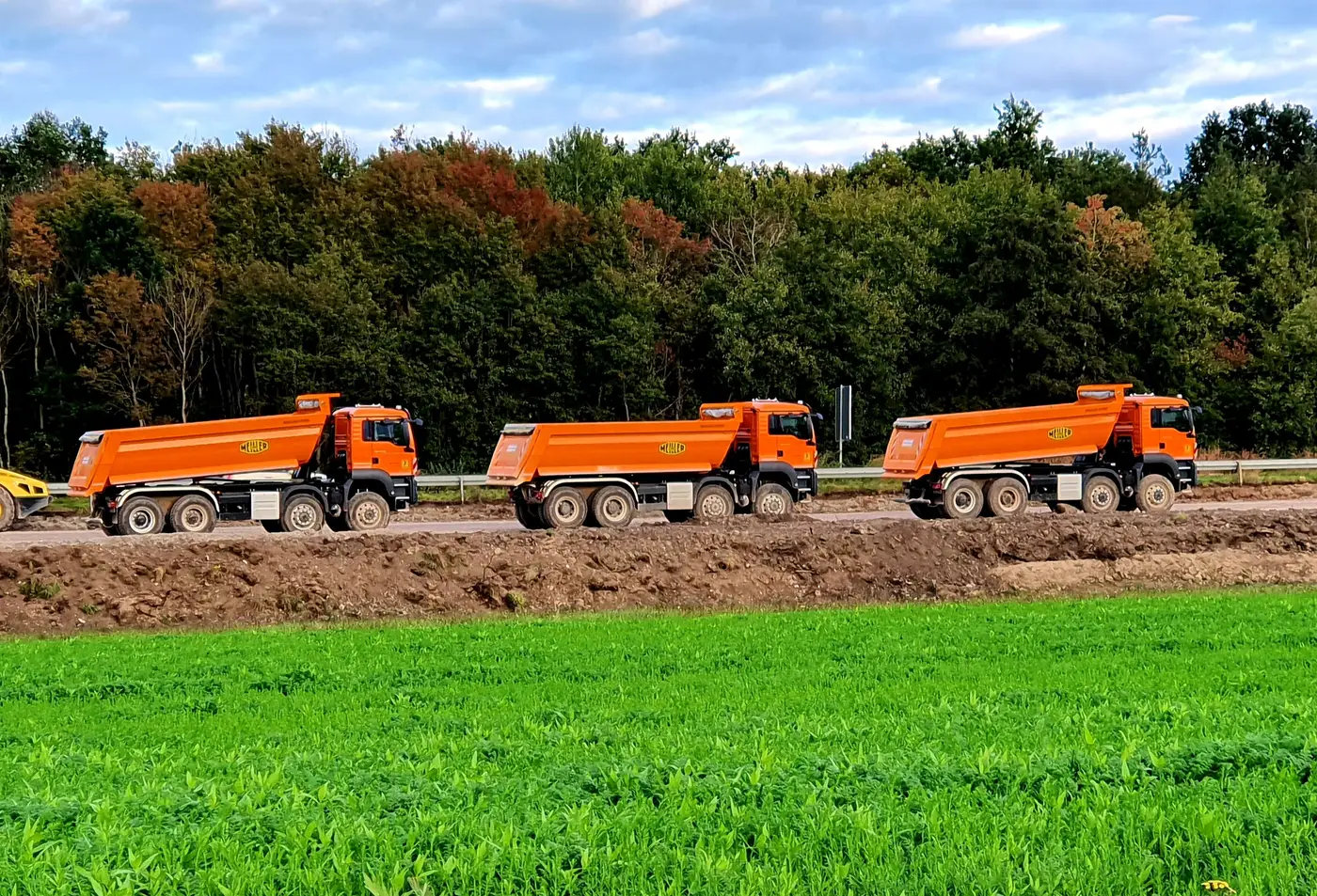 Three orange dump trucks parked in a row on a dirt road beside a green field.